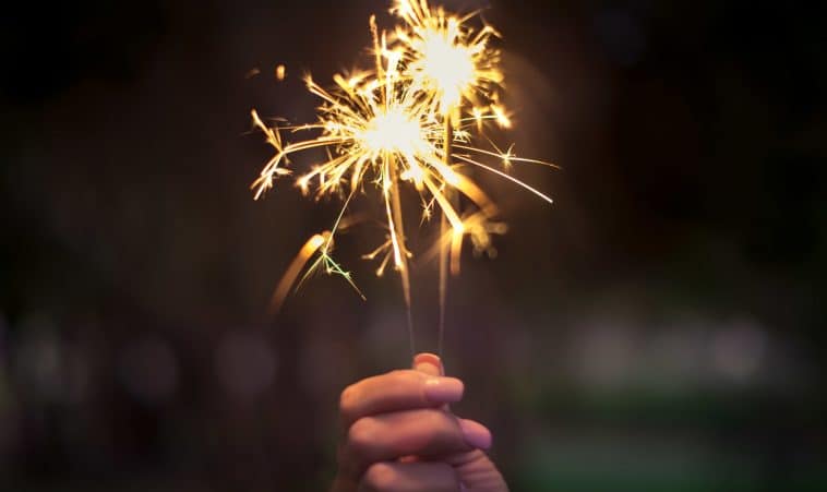 Belle et joyeuse année