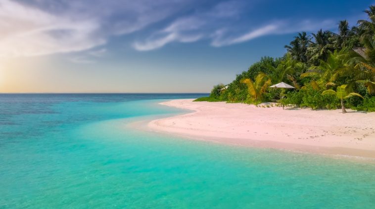 Nouvelles de nos vacances
