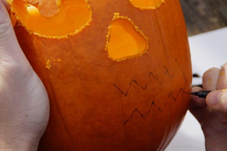 Concours de citrouilles