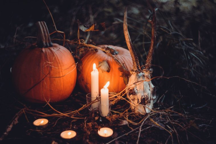 Magie d'halloween