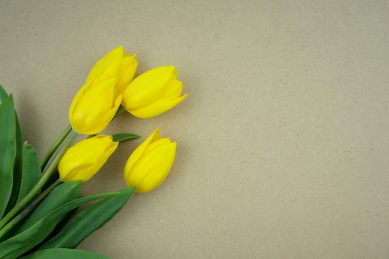 Maman exceptionnelle