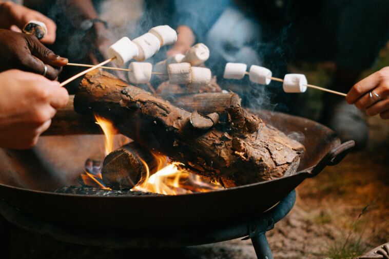 Barbecue party